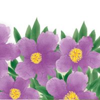 teebasispicsavada_03_16